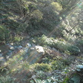20100417 232708